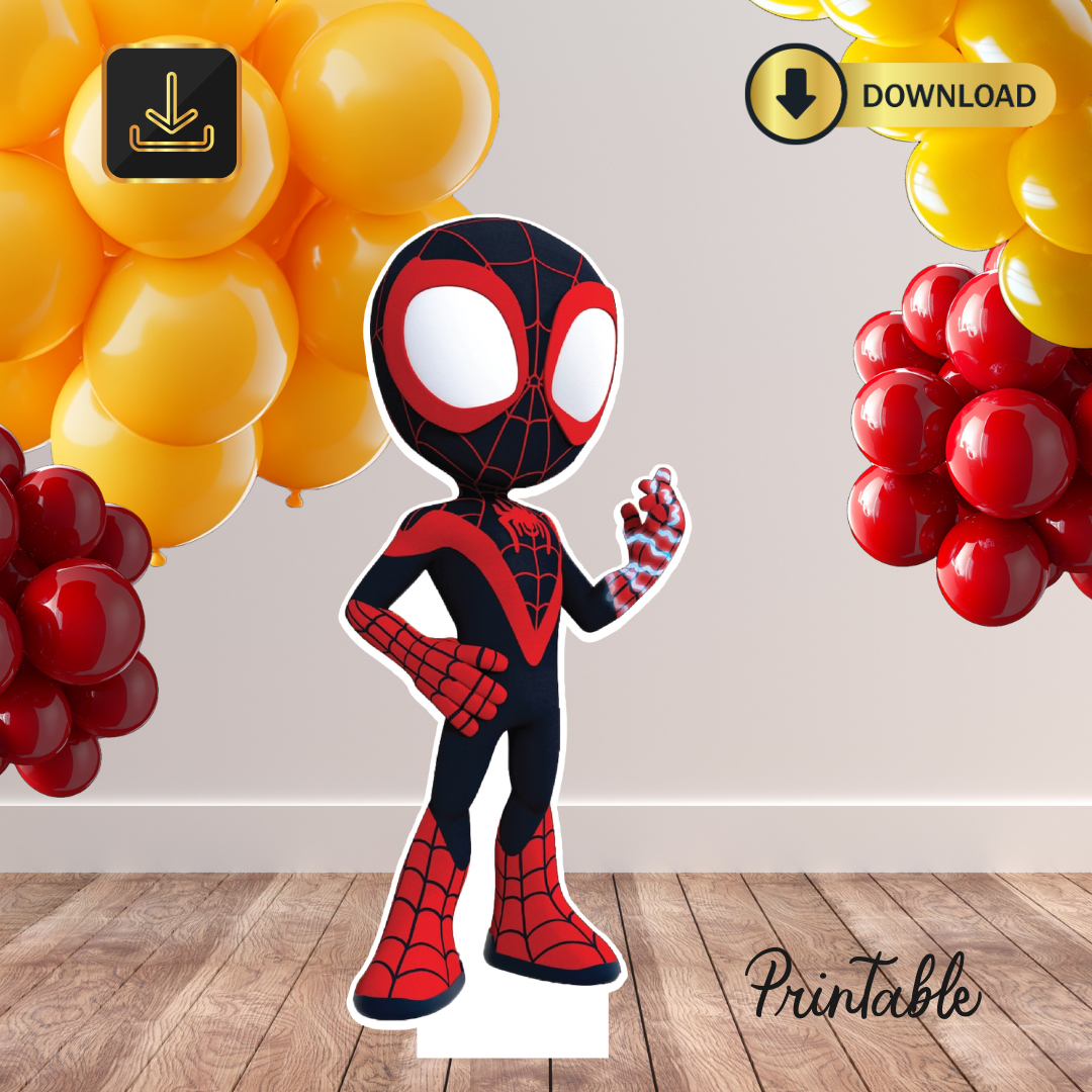 Spider Boy, digital DIY Party, At Home Birthday Display