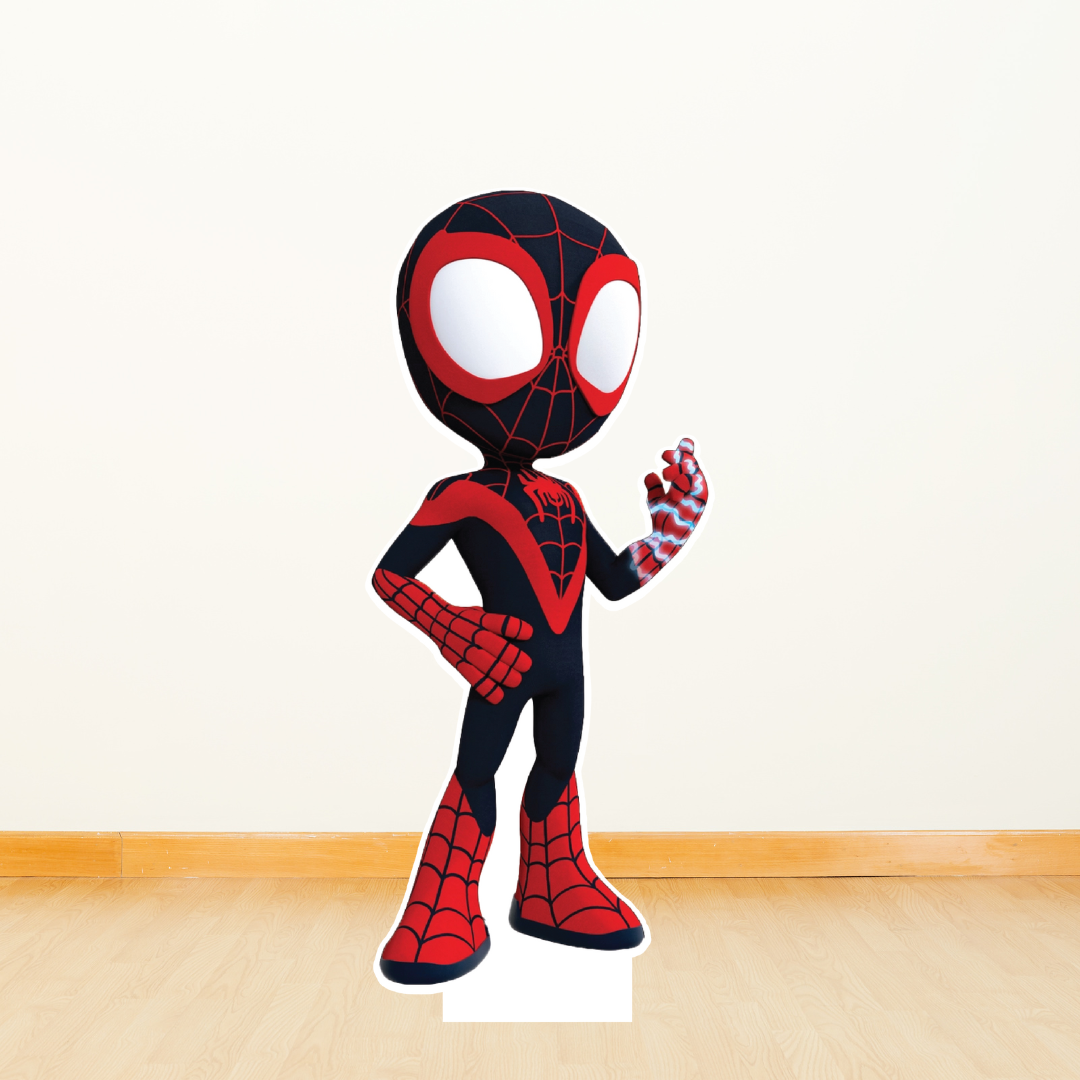 Spider Boy, digital DIY Party, At Home Birthday Display