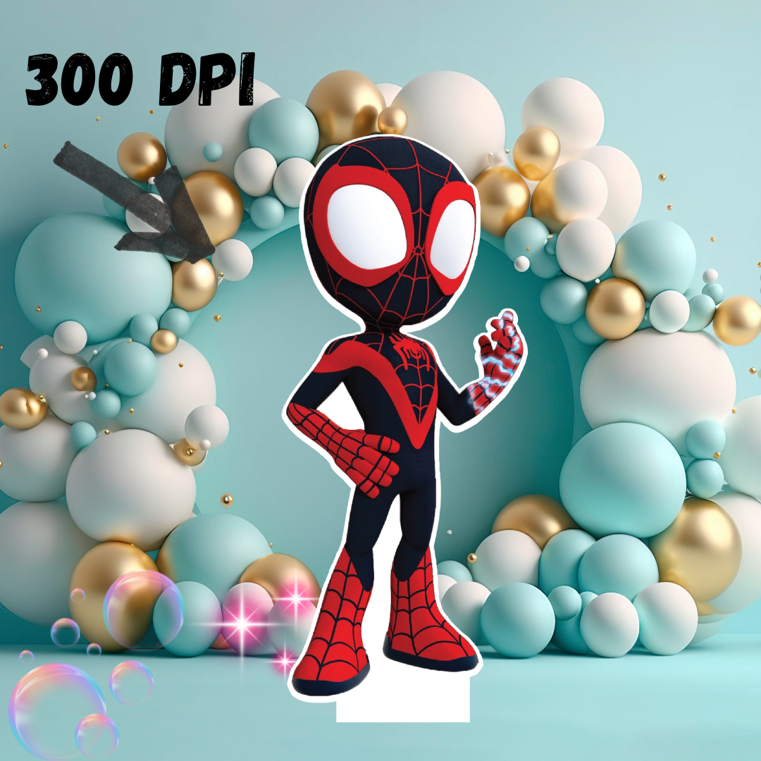 Spider Boy, digital DIY Party, At Home Birthday Display