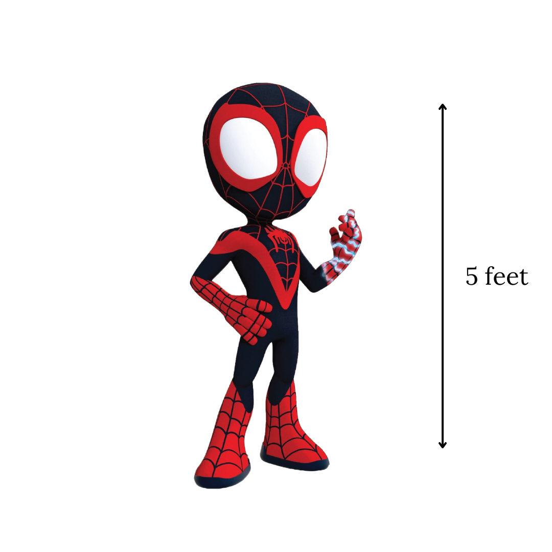 Spider Boy, digital DIY Party, At Home Birthday Display